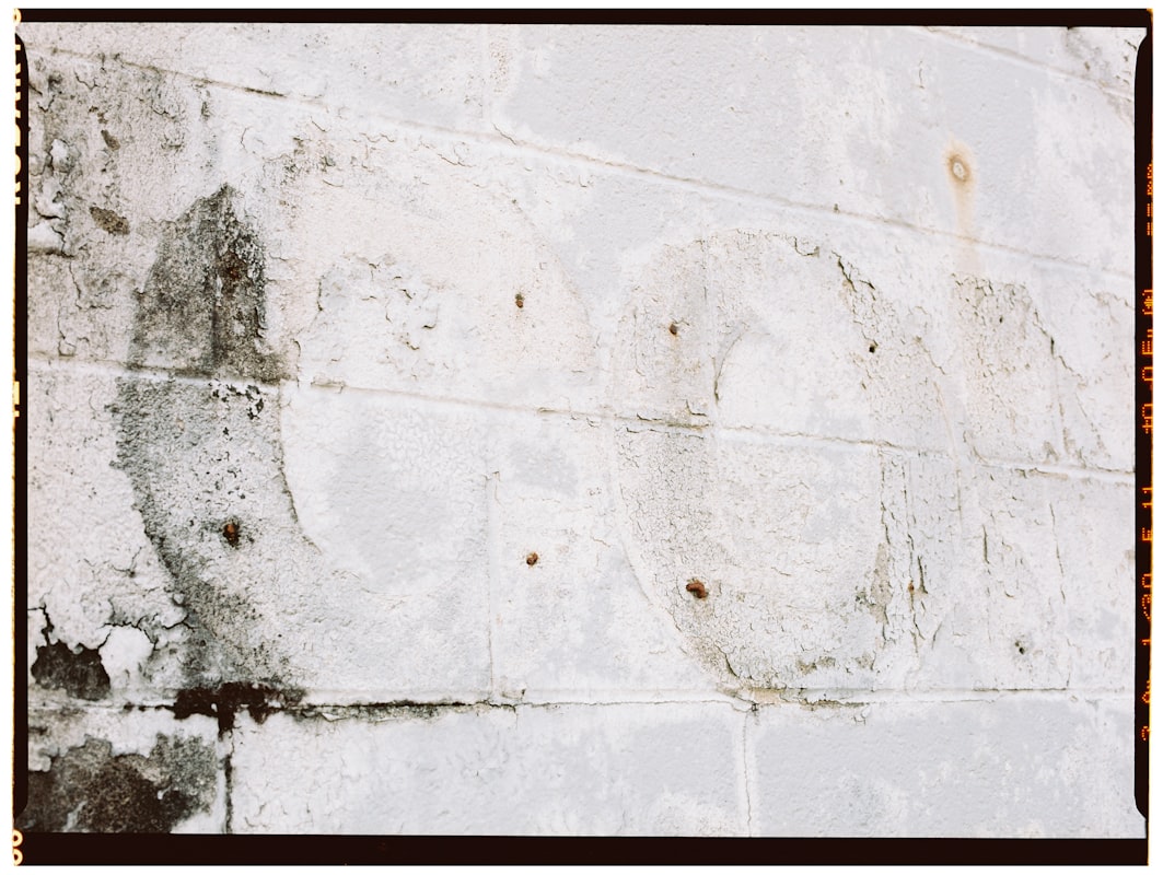 Water Extraction service in Edinburg, TX